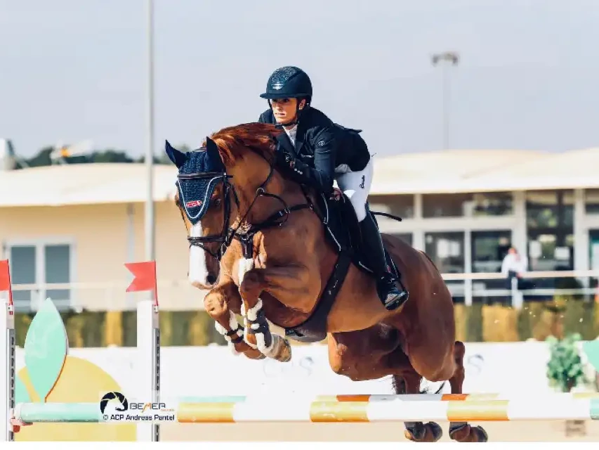 Beaulieu-equestrain-academy-horse-riding